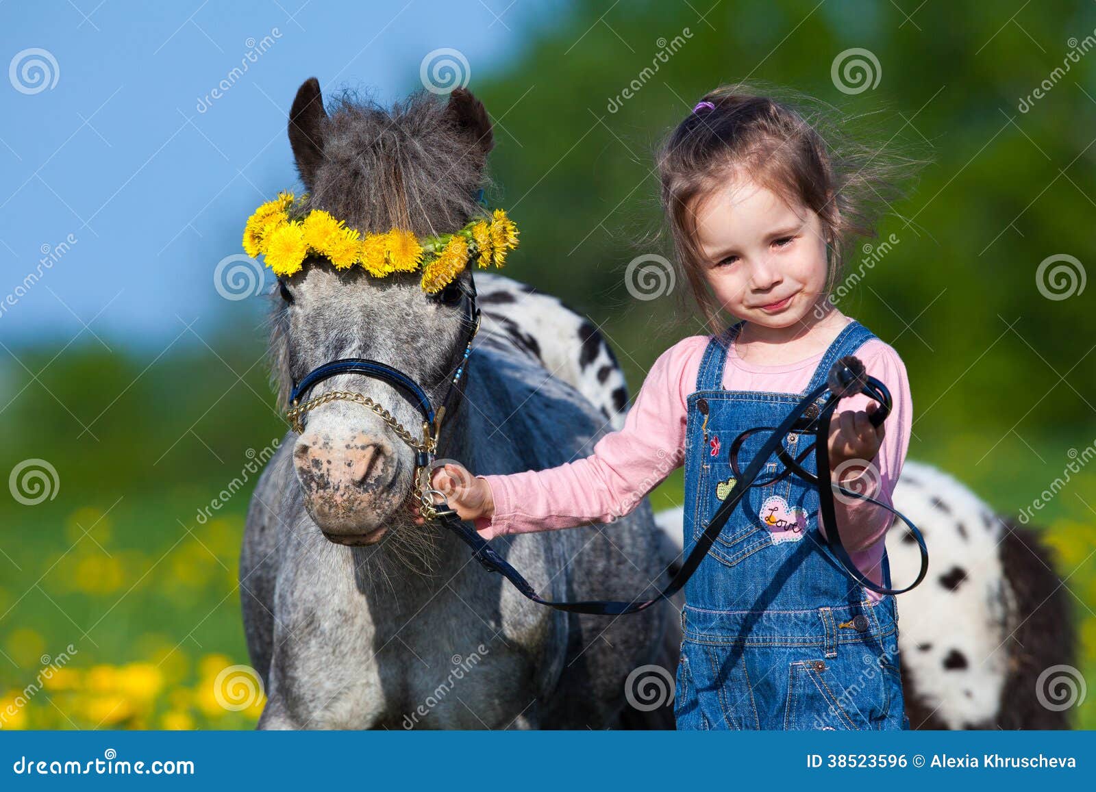 onderwerpen juni variabel Kind En Klein Paard Op Gebied Stock Foto - Image of gezelschap, paard:  38523596