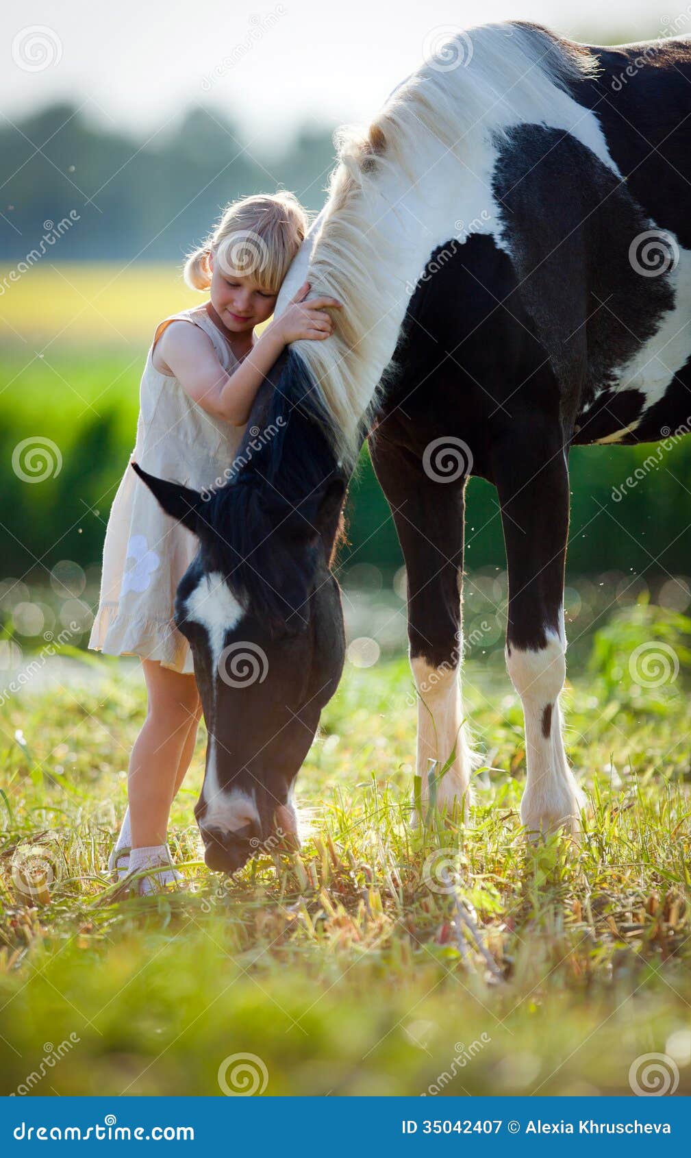 en paard ingediend stock afbeelding. Image of zoogdieren -