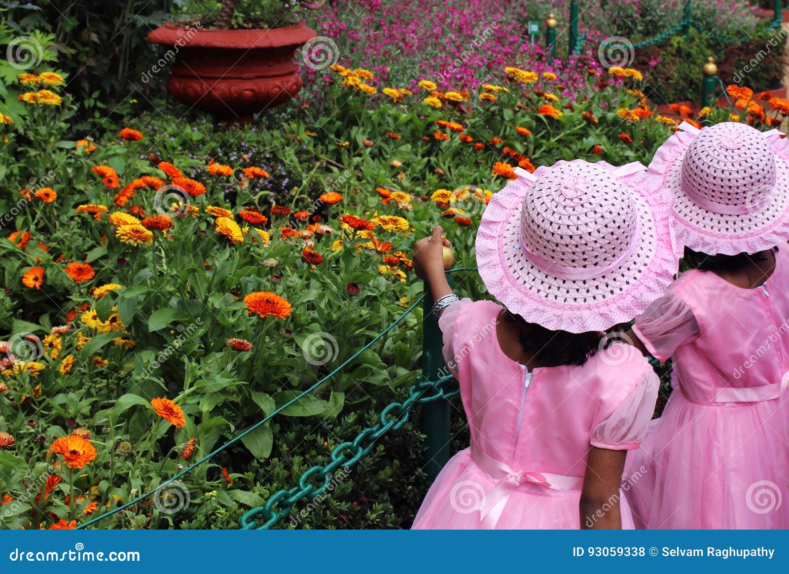 Kinder, Die Blumen Besuchen Stockfoto Bild von draussen, kultiviert