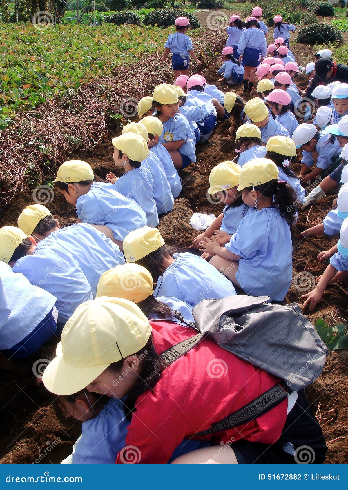 Kindergarten Children Field Work Editorial Photography Image of