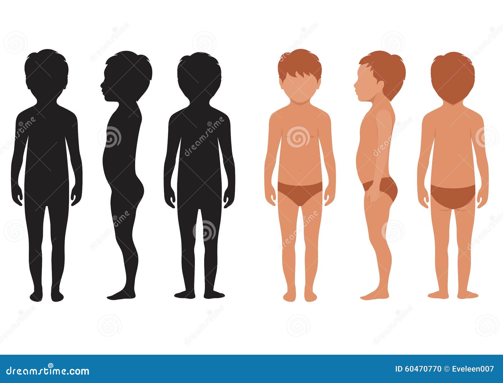 Kinderkörper, Menschliche Anatomie, Vektor Abbildung - Illustration von  kind, jung: 60470770