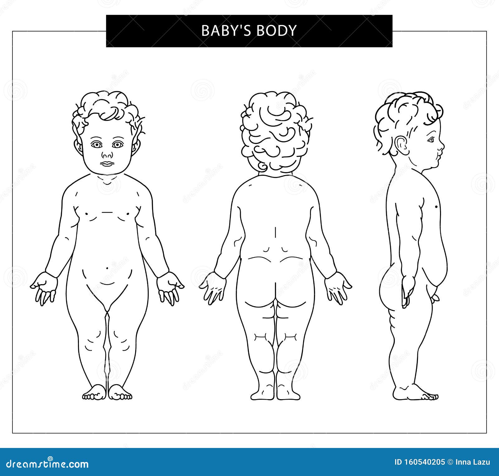 Kinderkörper und Anatomie vektor abbildung. Illustration von kerl -  160540205