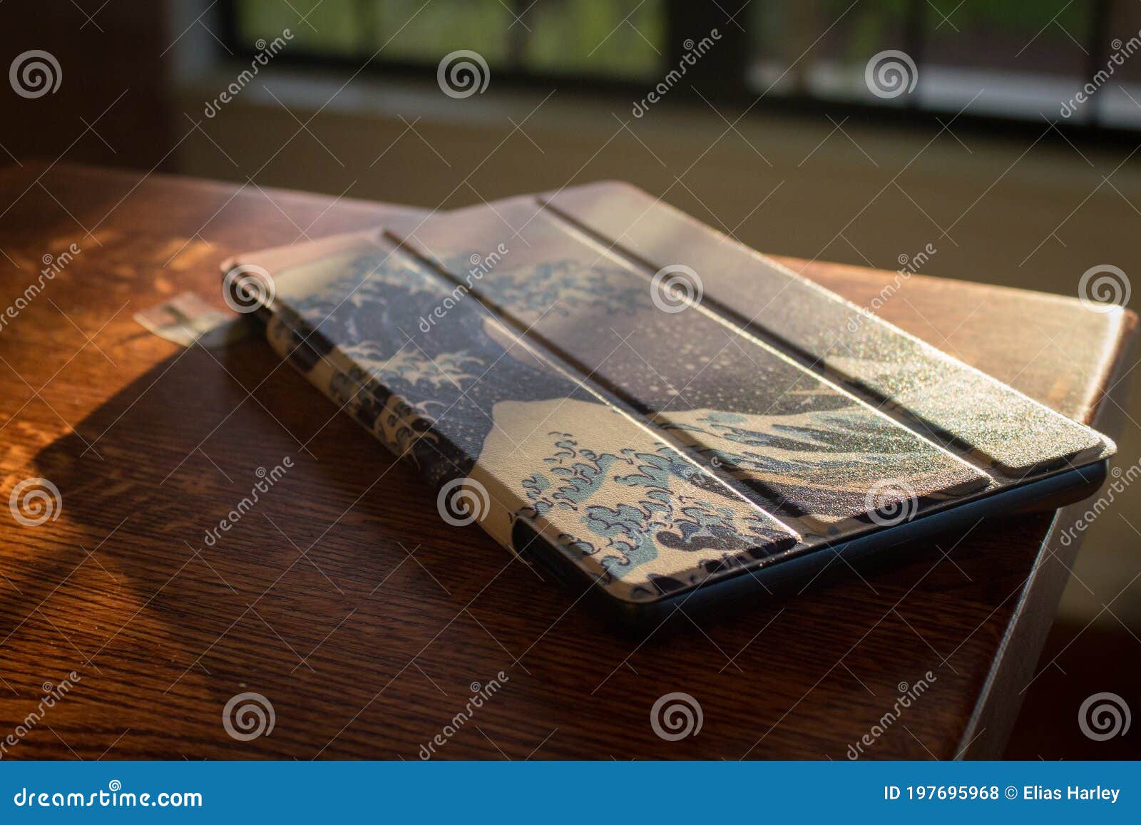 Kindle Avec Grand Cas De Peinture D'ondes Photo stock éditorial - Image du  peinture, technologie: 197695968