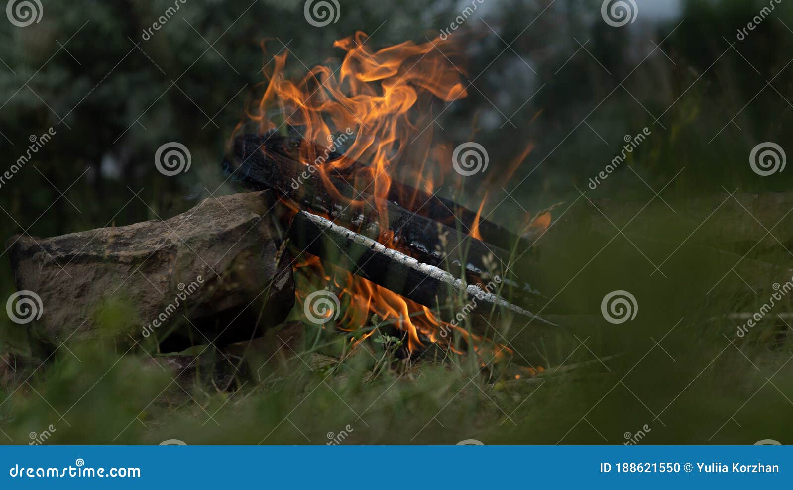 Kindling a Fire of Wood for Cooking Barbecue in Nature Stock Photo ...