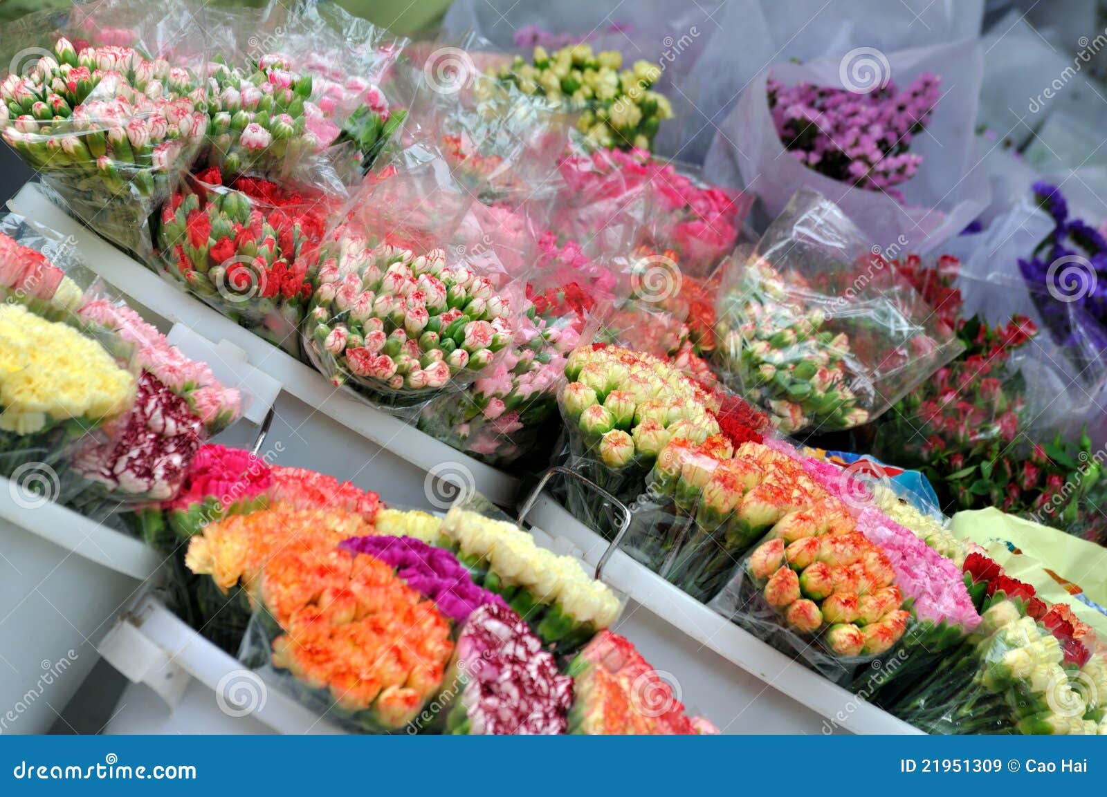 Kinds of flower in selling stock image. Image of decoration - 21951309