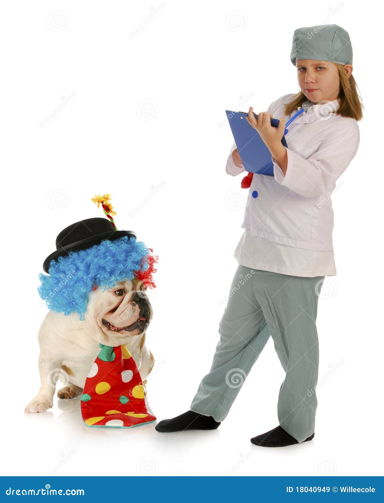 Kindtierarzt Und Dummer Hund Stockbild Bild von geschäft, check 18040949