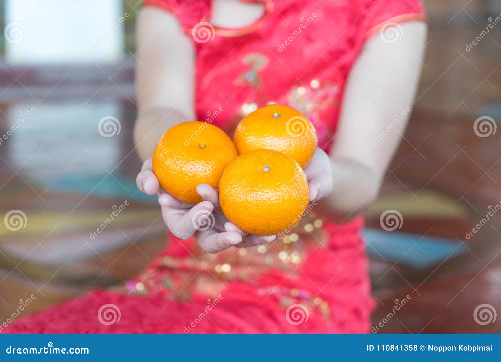 Kinesisk kvinna som bär den traditionella dräkten under kinesisk ny jaröst. Kinesisk kvinna som bär den traditionella dräkten under kinesiskt nytt år Lycklig dam på kultursäsongperiod Kvinnlig med röd cheongsam Kina för traditionell dressing Ung flicka som rymmer den guld- apelsinen