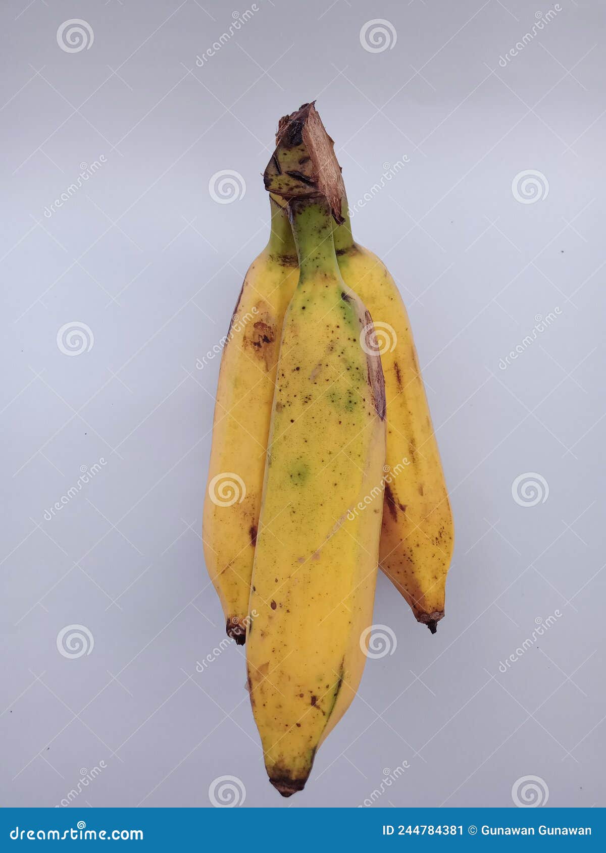 King bananas fresh stock image. Image of leaf, nutrition 244784381