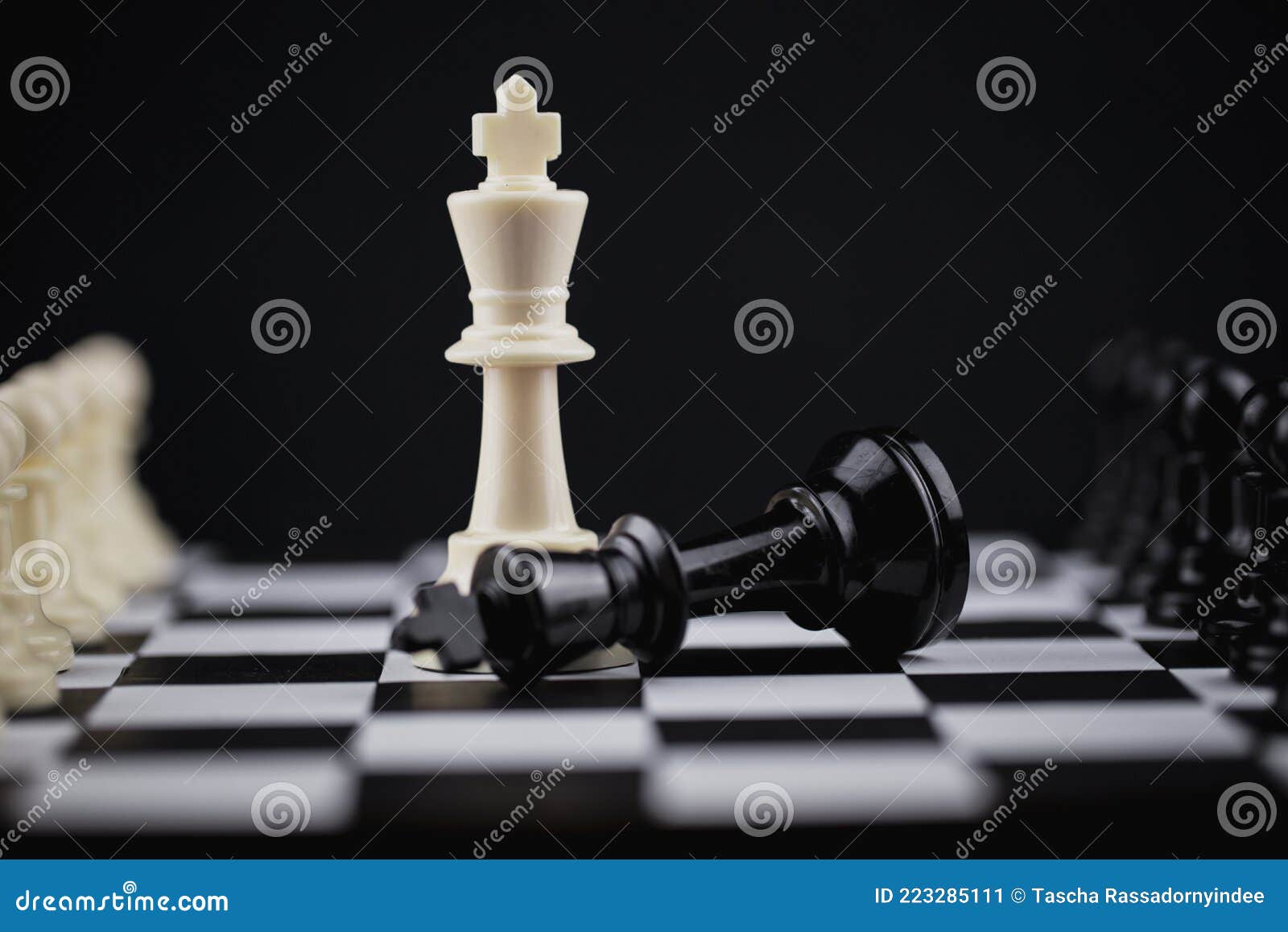 battle chess download free full version