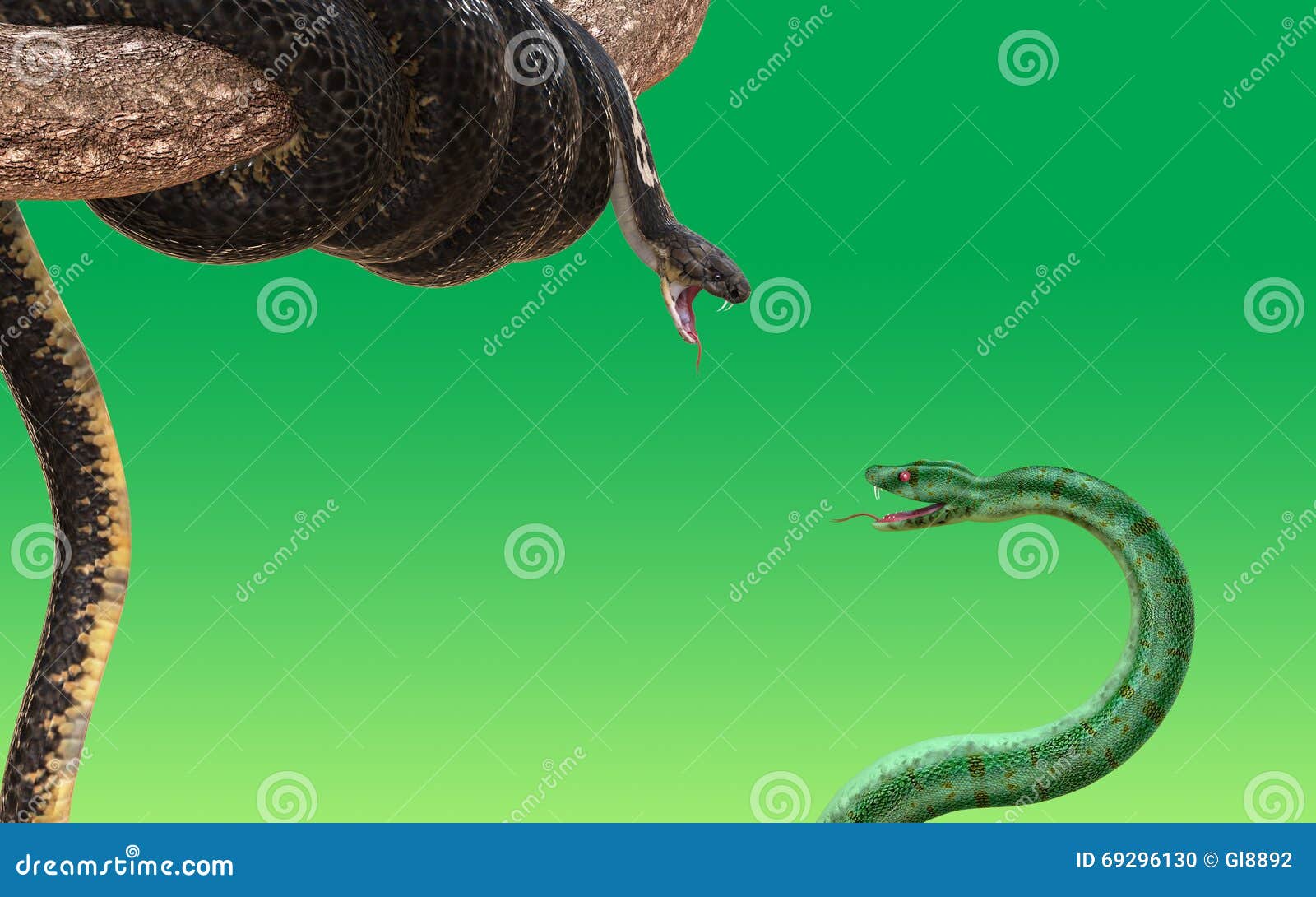 King Cobra And Green Snake Fighting And Attacking 3d Rendered Model
