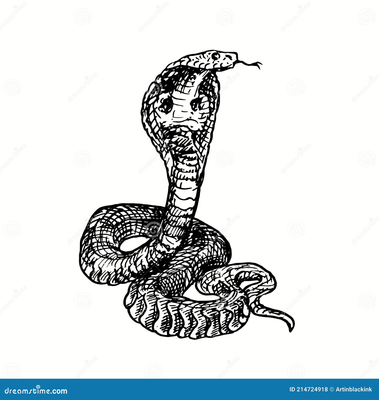Snake Pencil Drawing - Sketching Snake with Pencils on  DrawingTutorials101.com in 2024 | Snake drawing, Pictures to draw, Nature  sketch