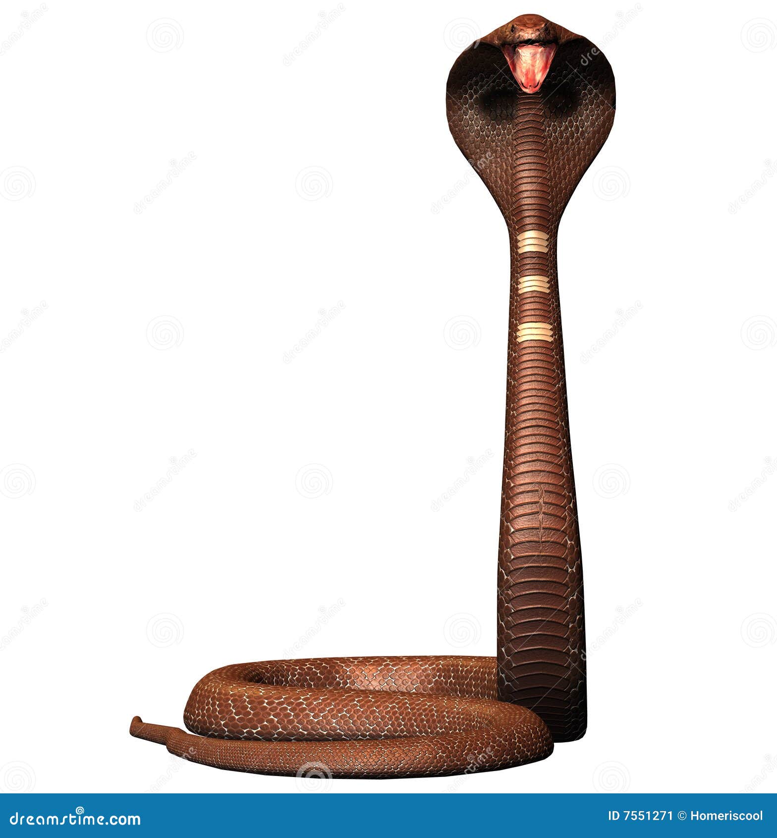 king cobra snake