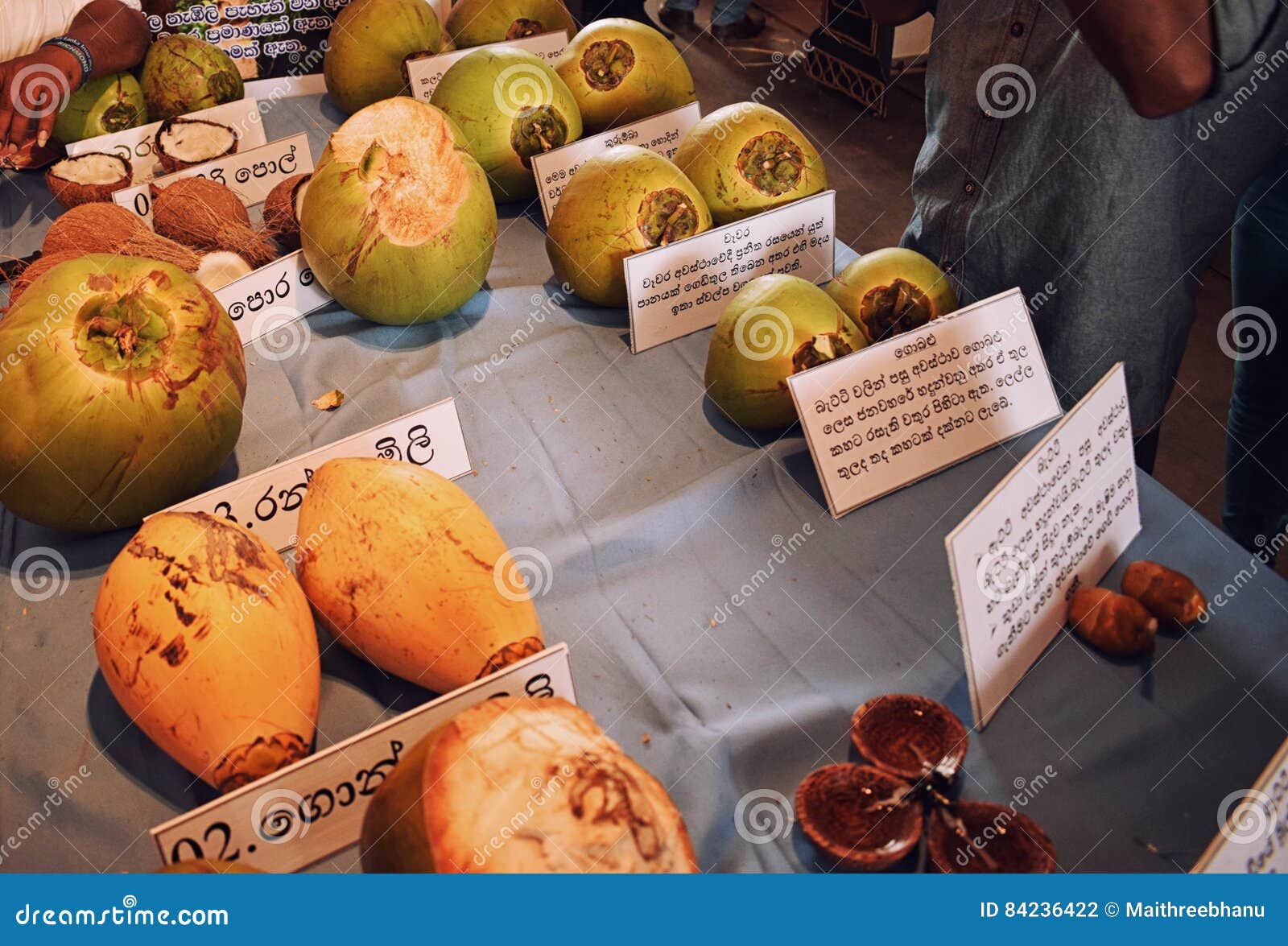 King Coconuts stock photo. Image of king, coconuts, thabili 84236422