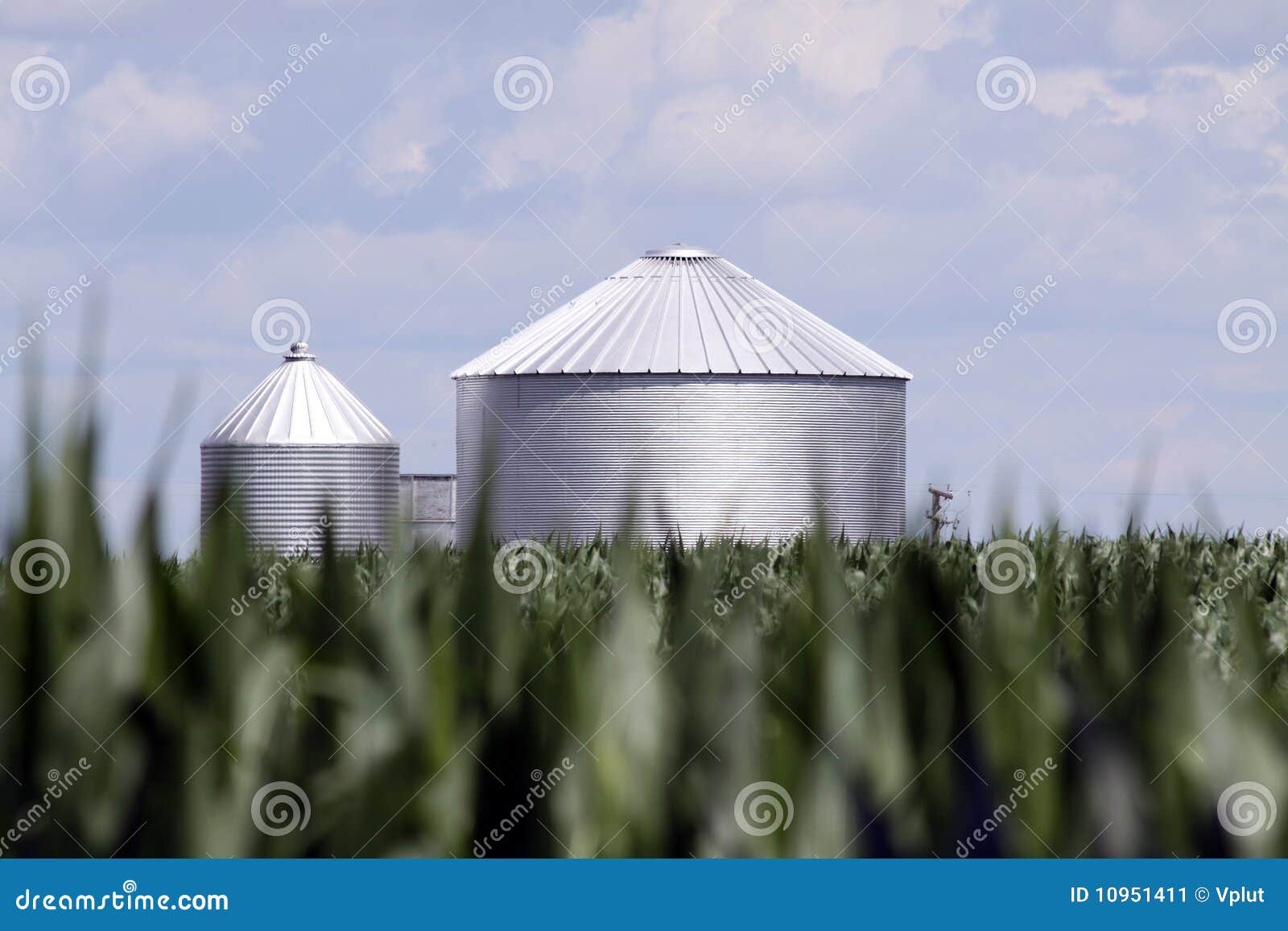 King Corn stock image. Image of america, farm, countryside 10951411