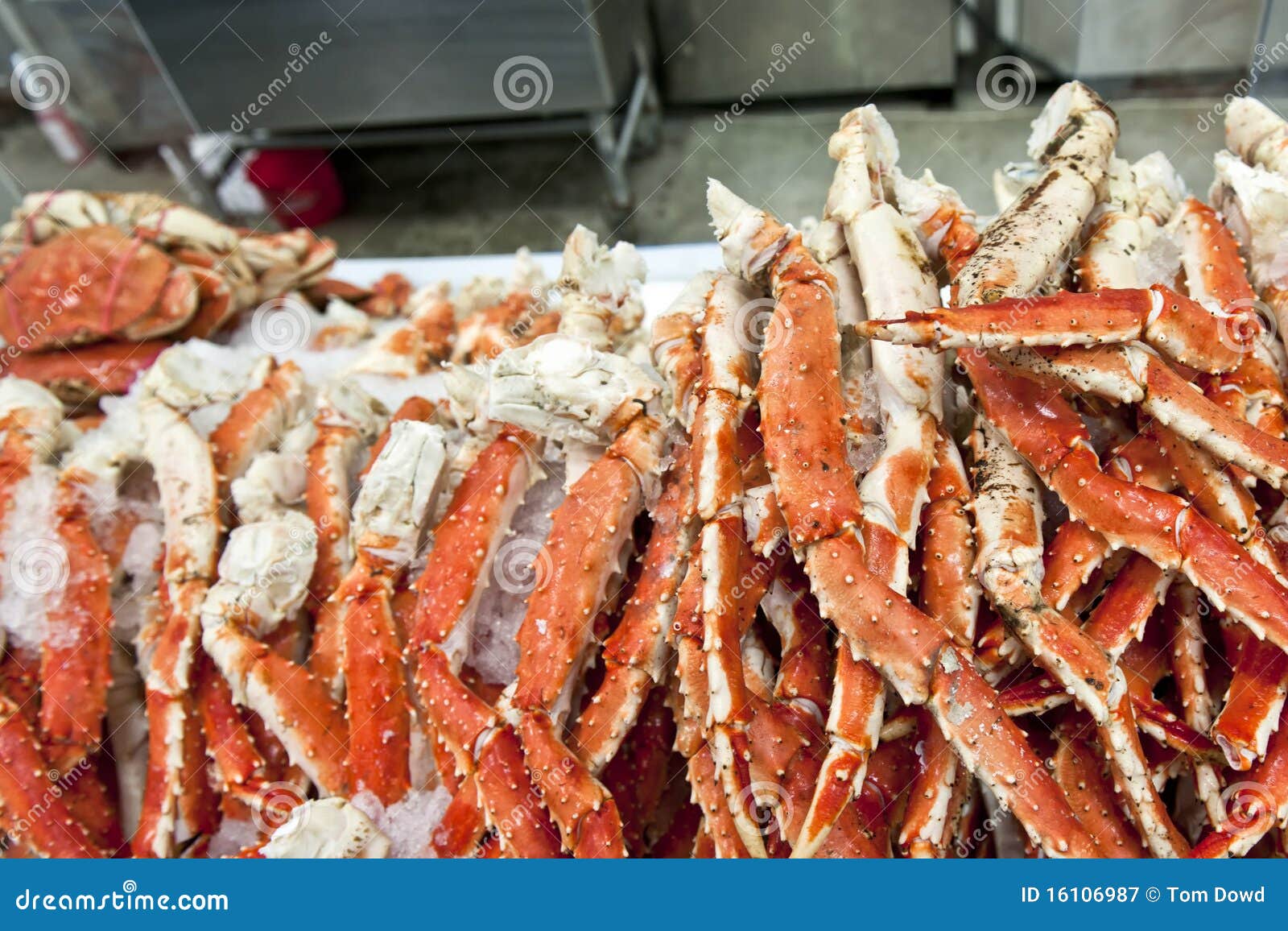 King crab legs stock image. Image of exoskeleton, food 16106987