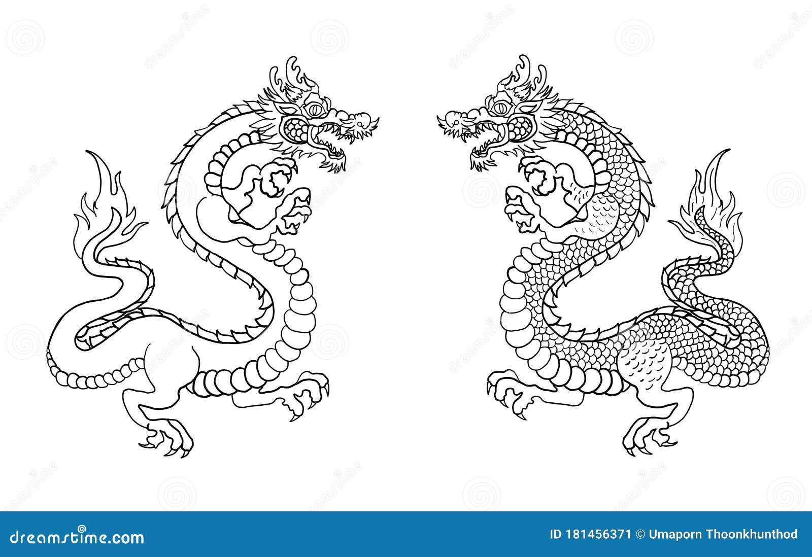 King Dragon  Vector for T-shirt Stock Vector - Illustration  of asia, beauty: 181456371