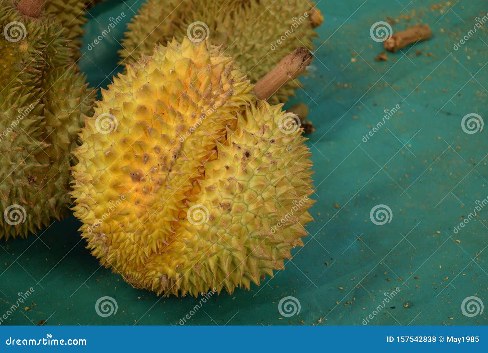 king of fruit durian tropical fruit backgroundn