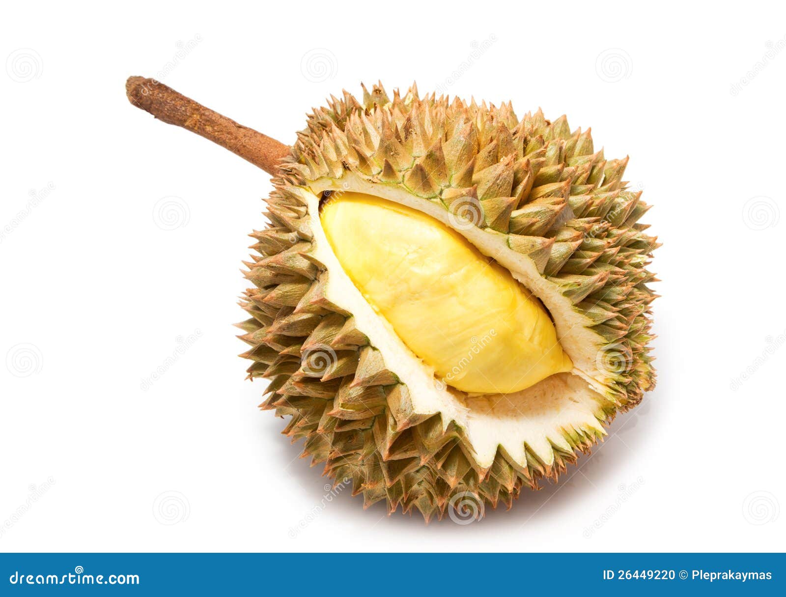 King Of Fruits, Durian Stock Photo Image 26449220