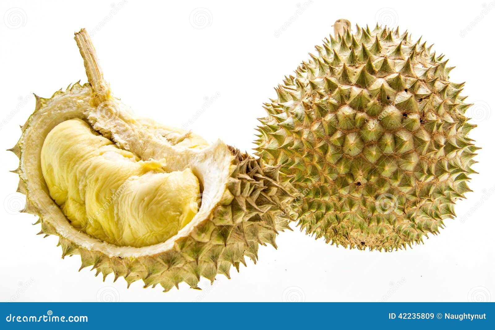 King of fruits, durian stock image. Image of nature, king 42235809