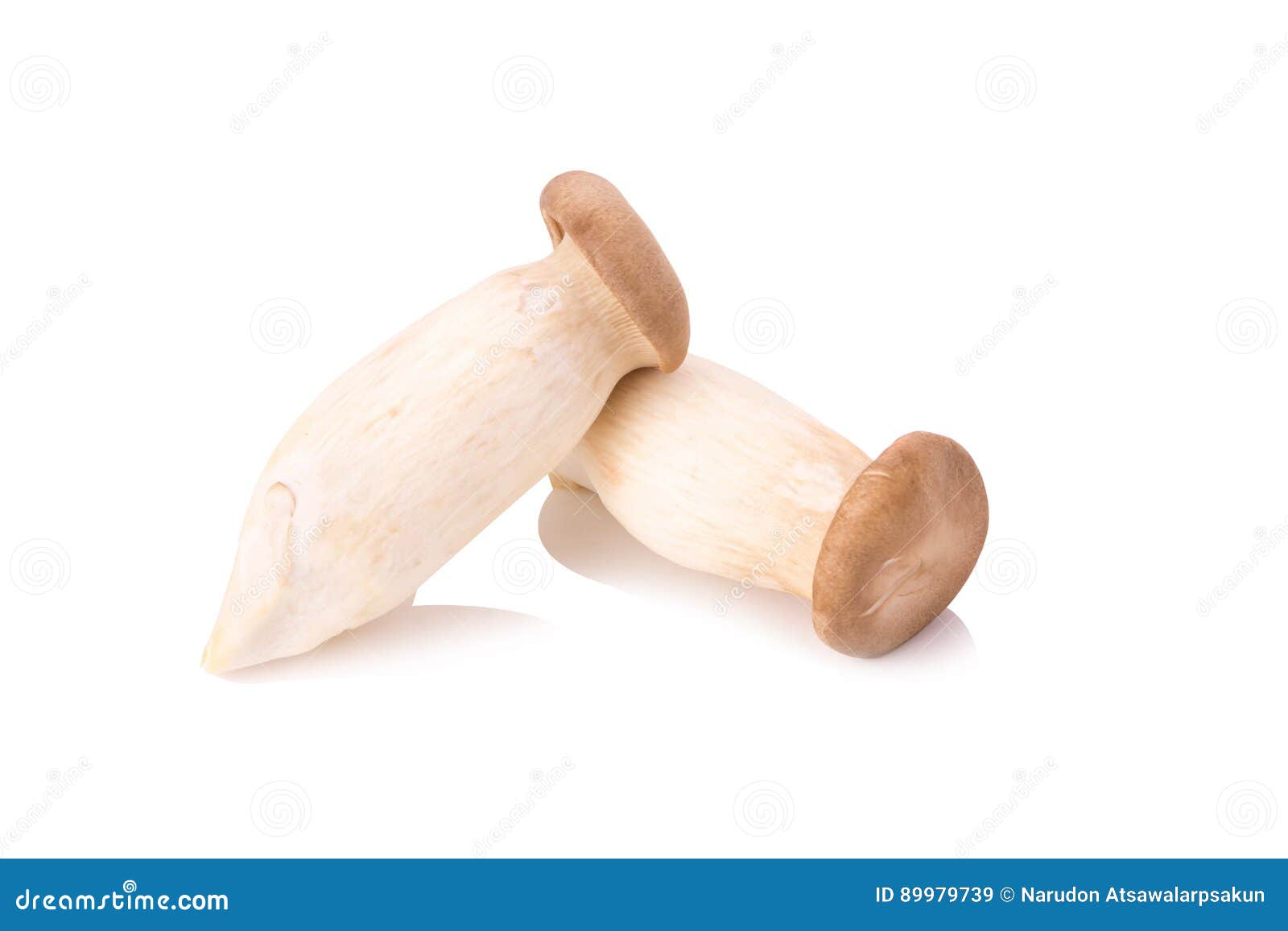 King Oyster Mushroom Eringi on White Backgroud Stock Image Image of