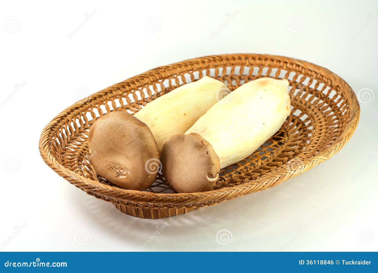 King Oyster Mushroom stock photo. Image of cooking, drink 36118846