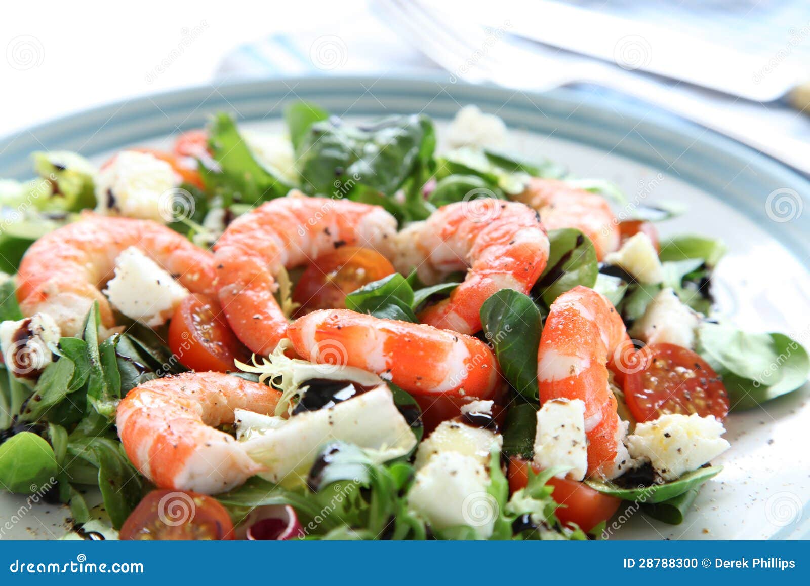 King Prawn Salad stock photo. Image of food, fish, prawn 28788300