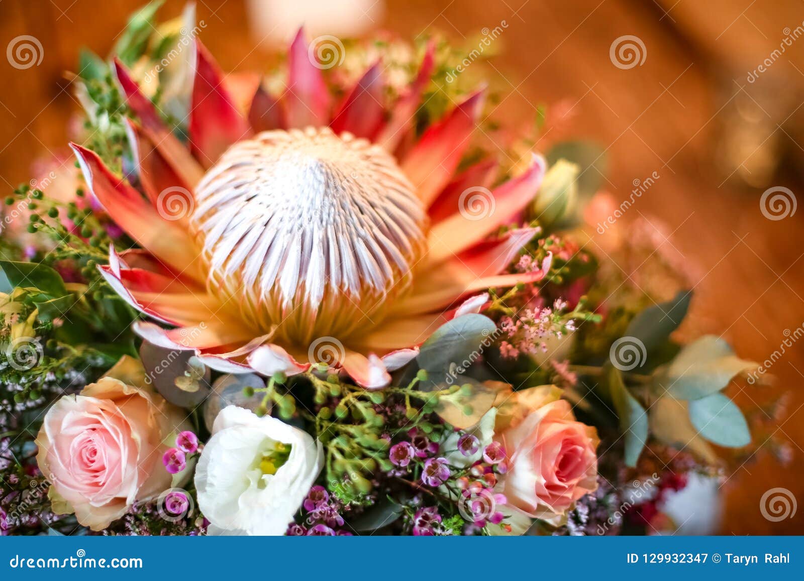 King Protea Table Decor For Wedding Bridal Table. Stock Image