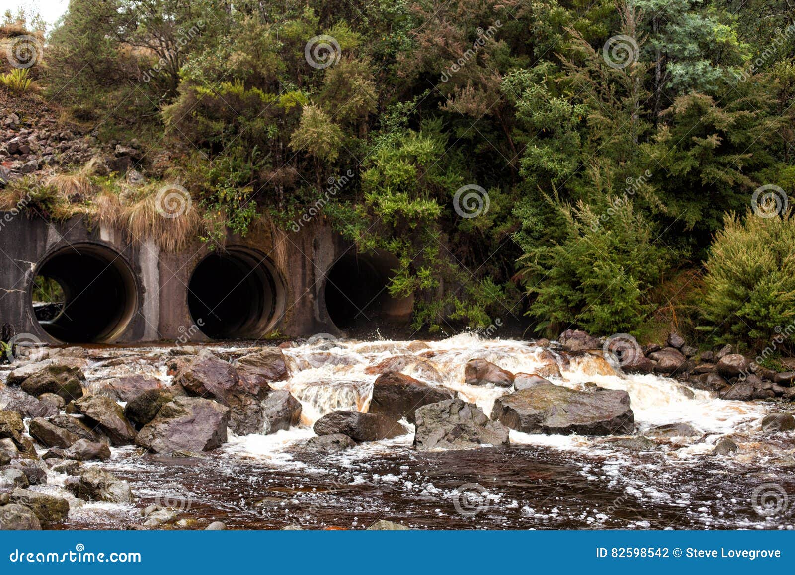King River Tasmania Stock Photo Image Of Water Tannin 82598542