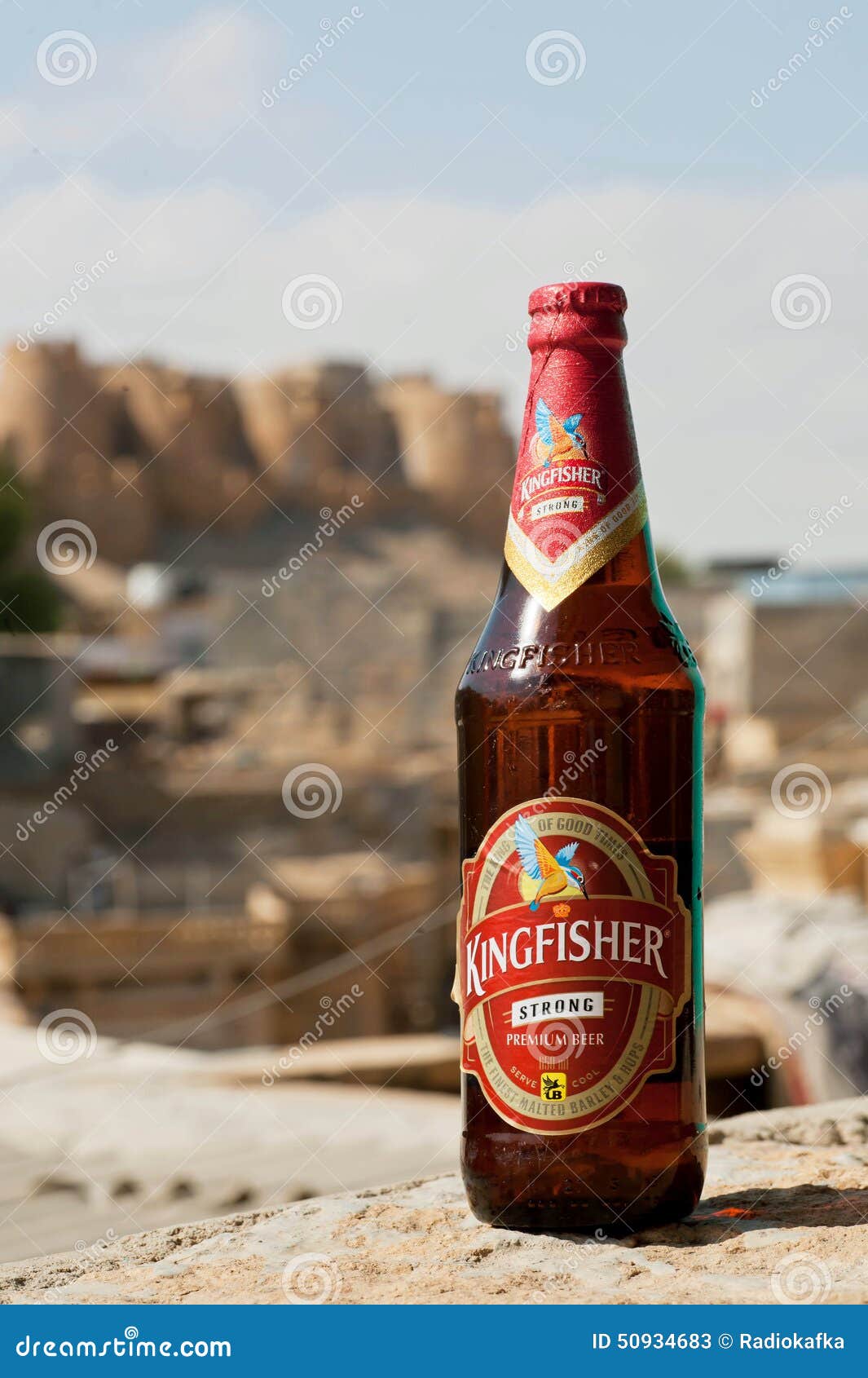 104 Kingfisher Beer Stock Photos - Free & Royalty-Free Stock Photos from  Dreamstime