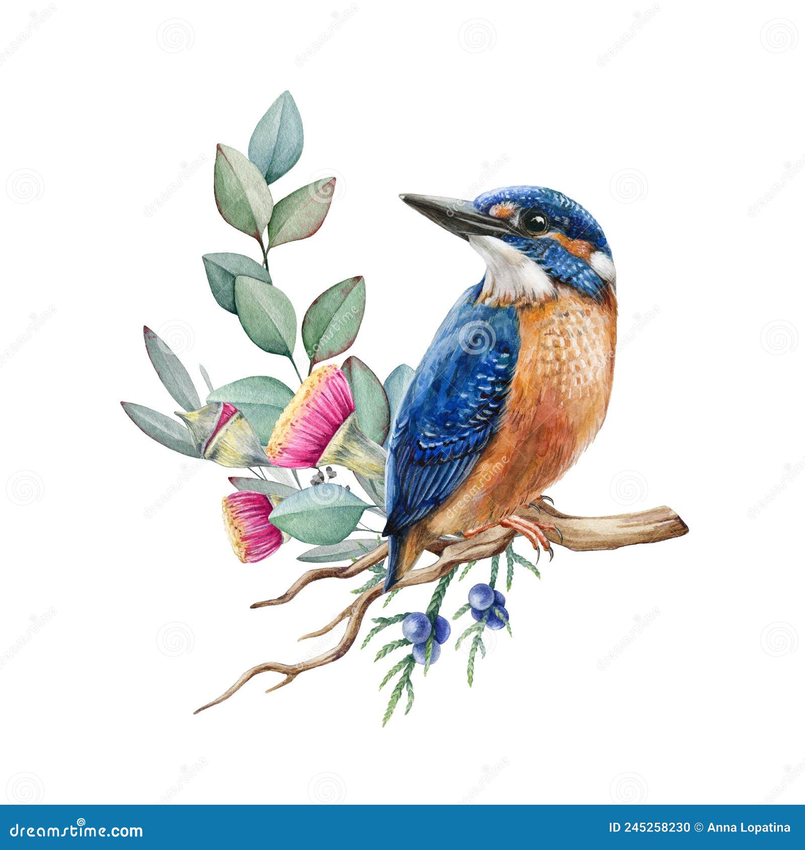 Common Kingfisher - advik's art - Drawings & Illustration, Animals, Birds,  & Fish, Birds, Kingfisher - ArtPal