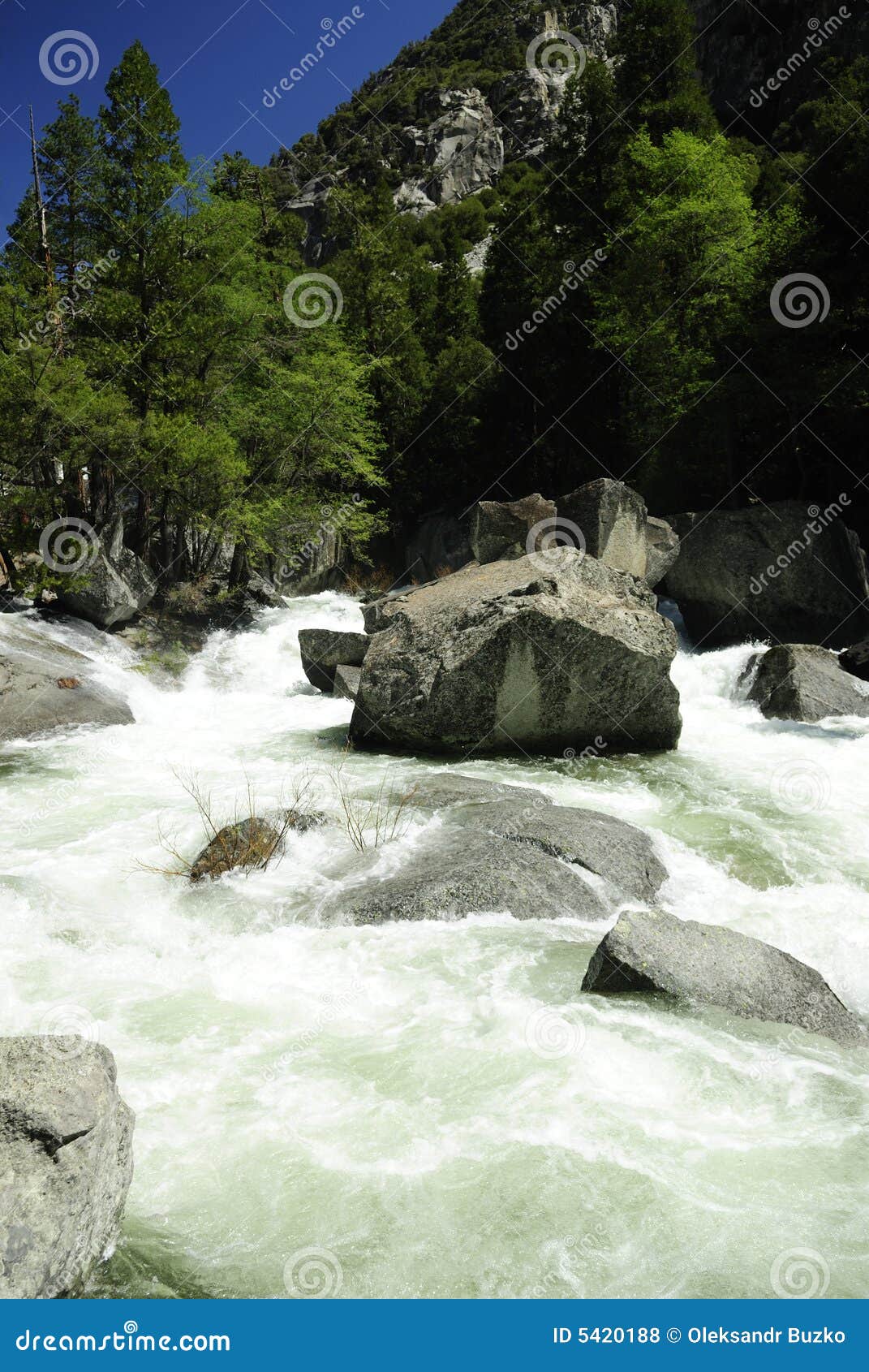 Kings River in Sierra Nevada of California Stock Photo Image of force