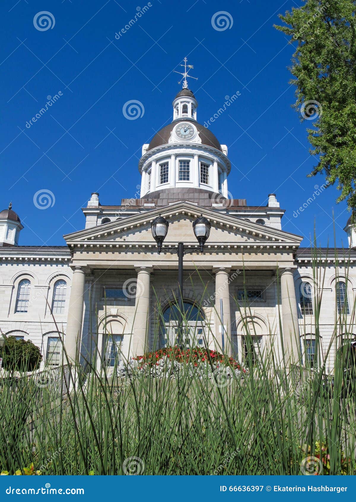 The Kingston Town Hall stock image. Image of plant, canada 66636397