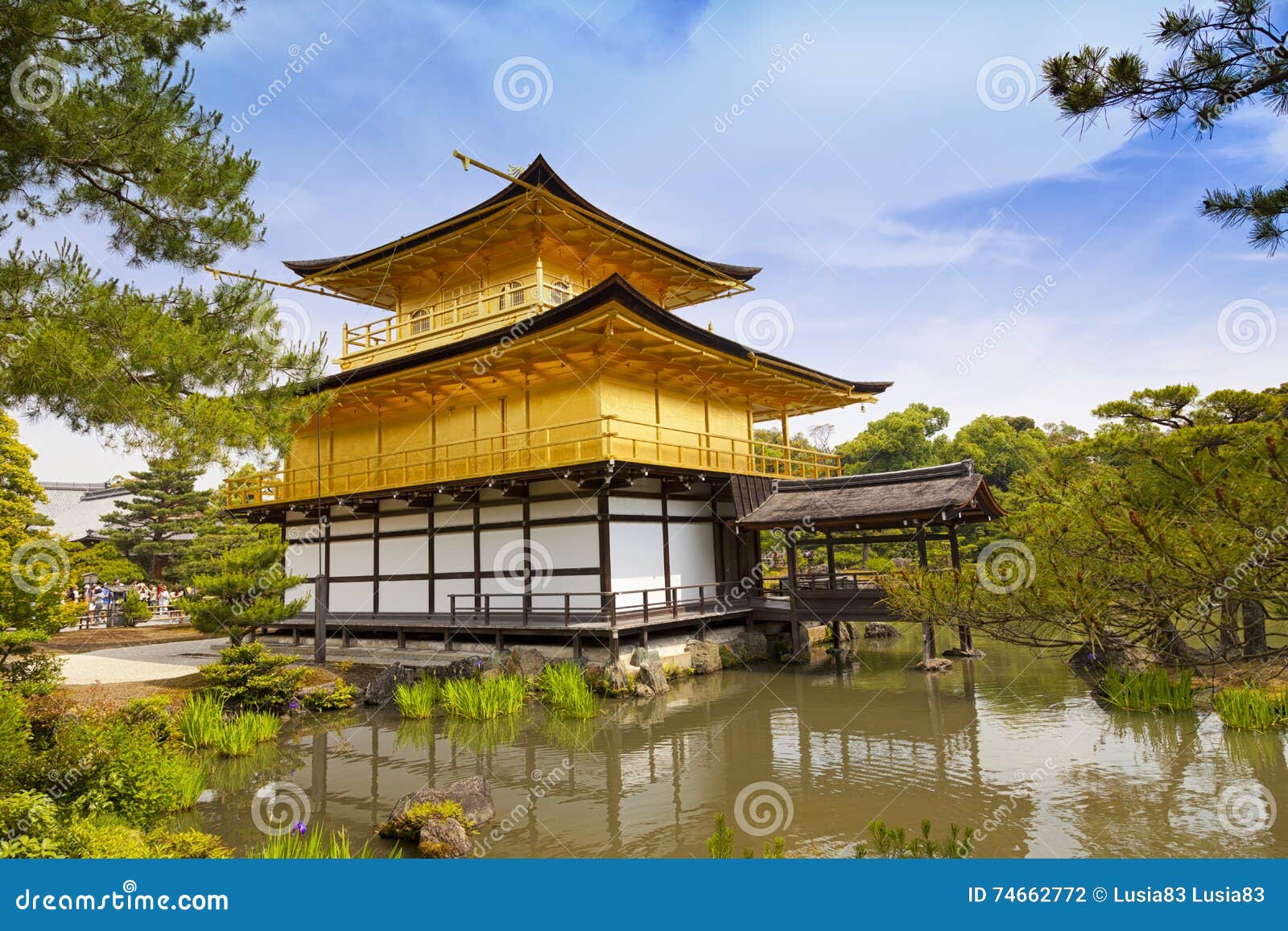 Kinkaku Ji O Pavilhao Dourado O Templo Budista Famoso Em Kyoto Japao Foto De Stock Imagem De Kyoto Japao