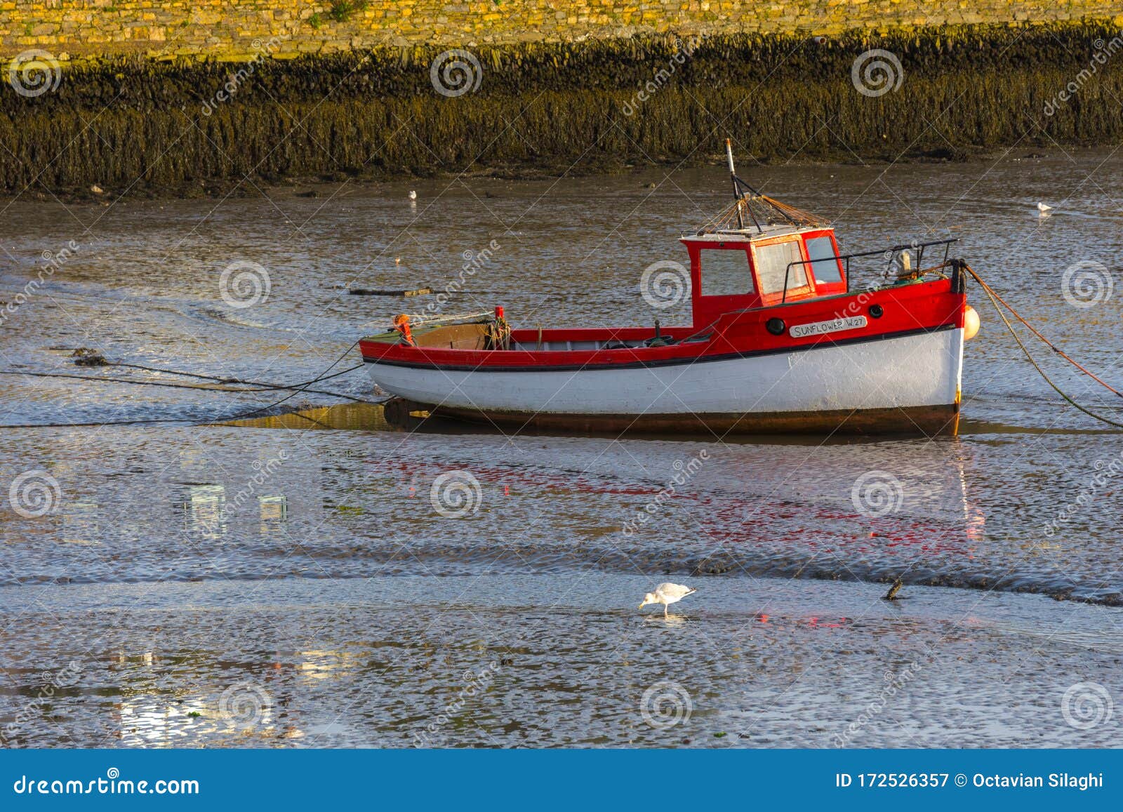 Kinsale, Ireland, Vintage Fishing Boat Resting during Low Tide