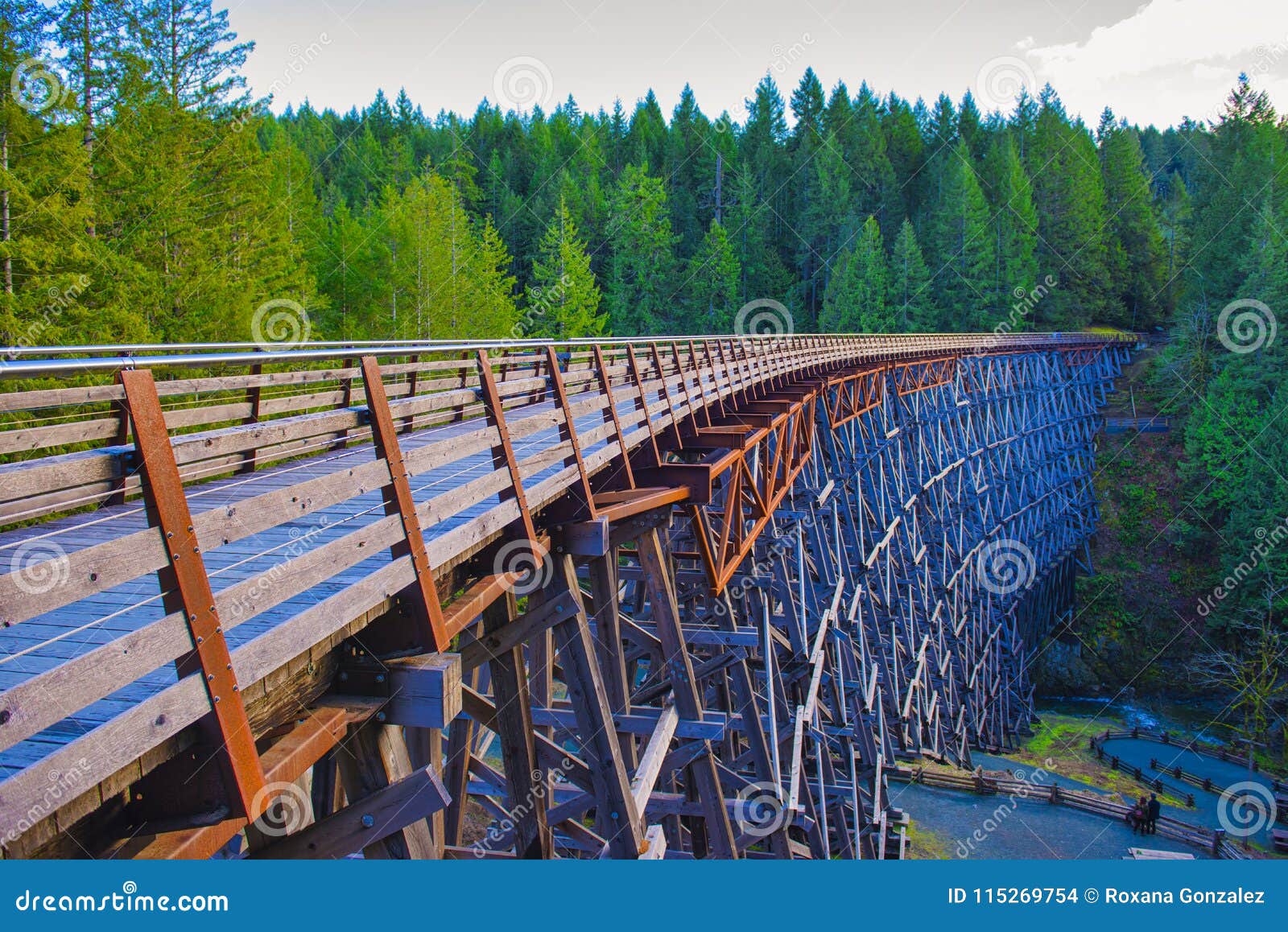 kinsol trestle railroad bridge in vancouver island, bc canada.