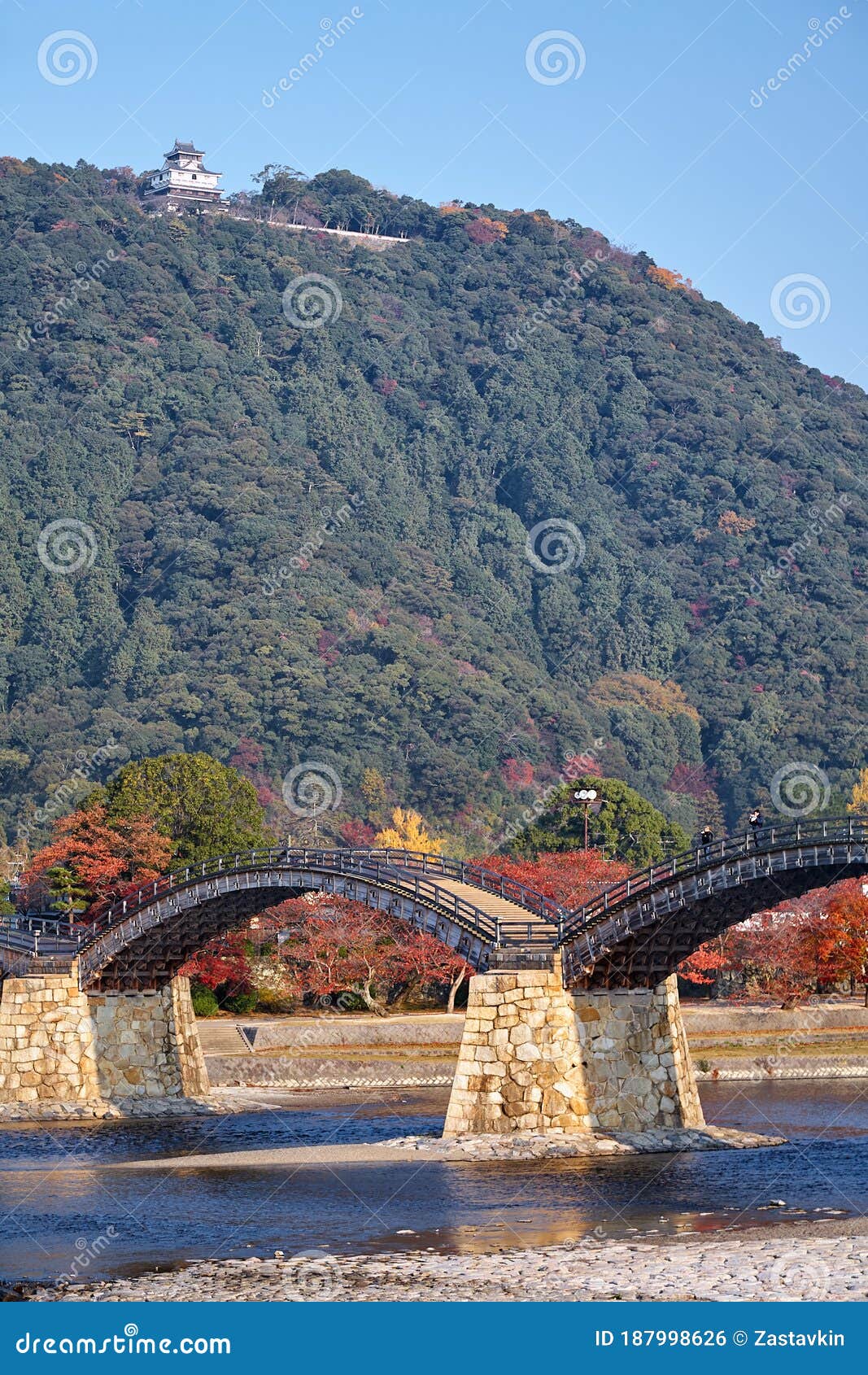 kintai bridge in iwakuni city in the fall,  japan