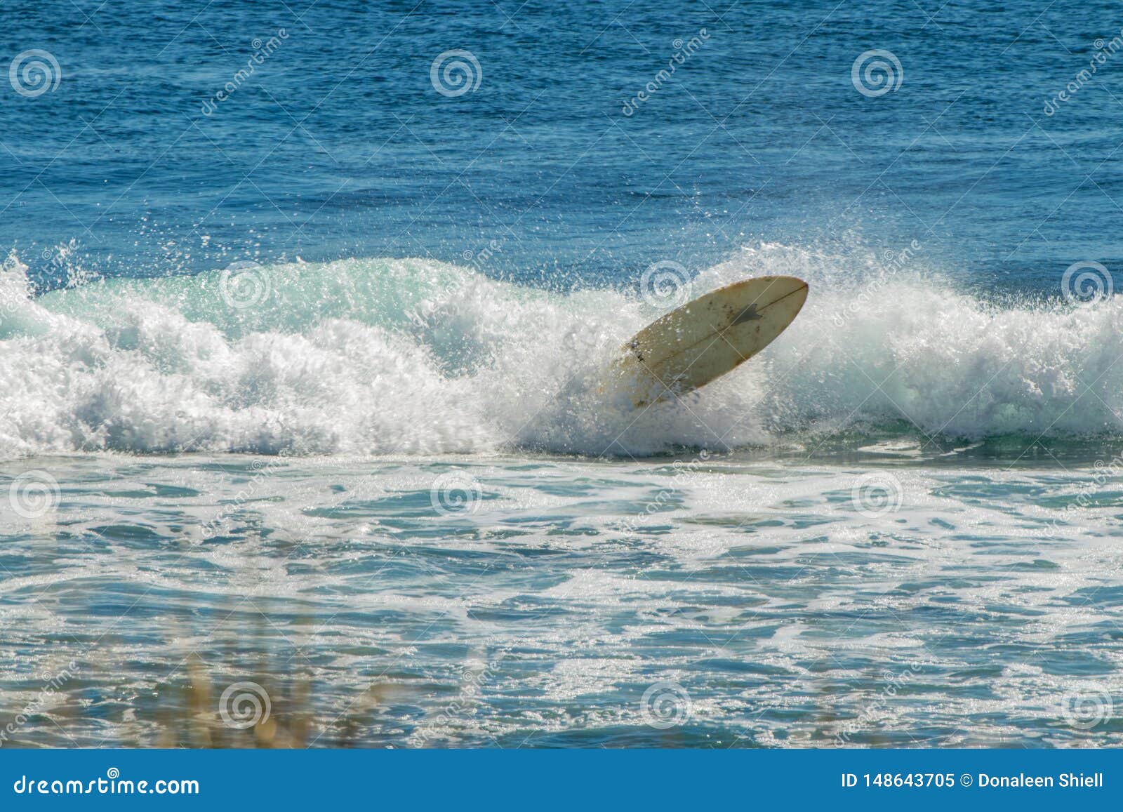 Kipiel zg?adza przy Ningaloo. Surfboard in waves, surfer is out of shot. surf spot in Western Australia in Ningaloo Marine Park. Taken in winter months.