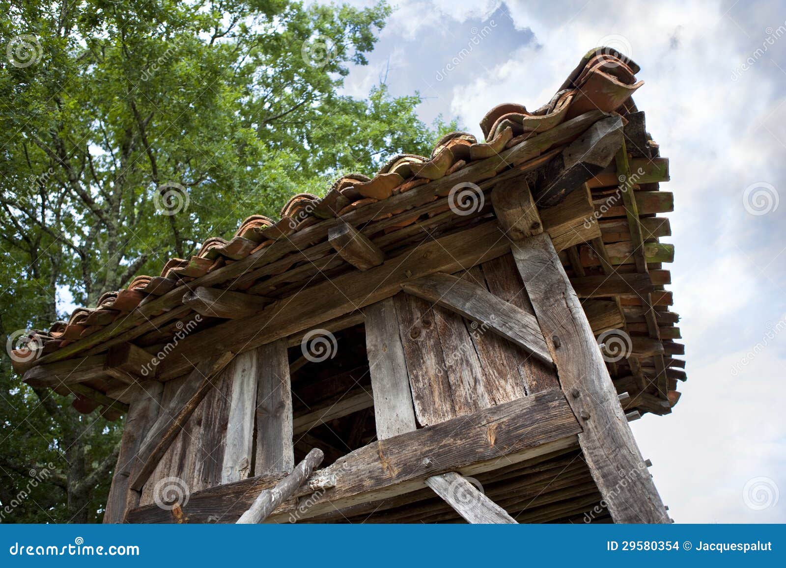 Kippenhok Stock Foto Afbeelding Bestaande Uit Structuur 29580354