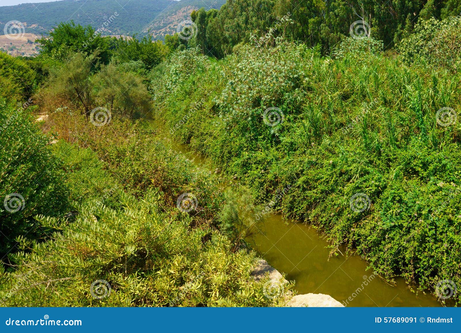 Kishon Park (HaAmakim park). The Kishon stream and park (HaAmakim park), in northern Israel