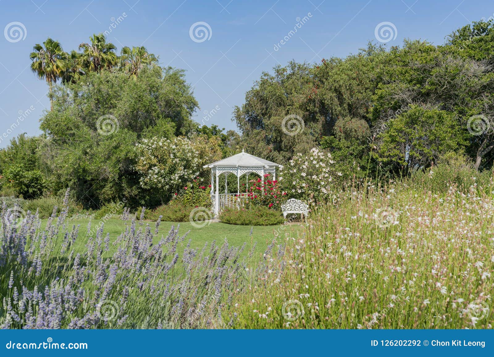 Kisok And Flower Blossom South Coast Botanic Garden Stock Photo