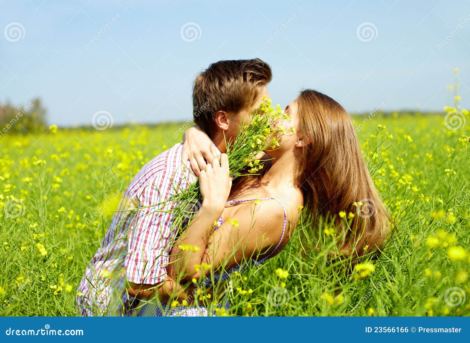 Kiss in the field stock photo. Image of environment, flower - 23566166