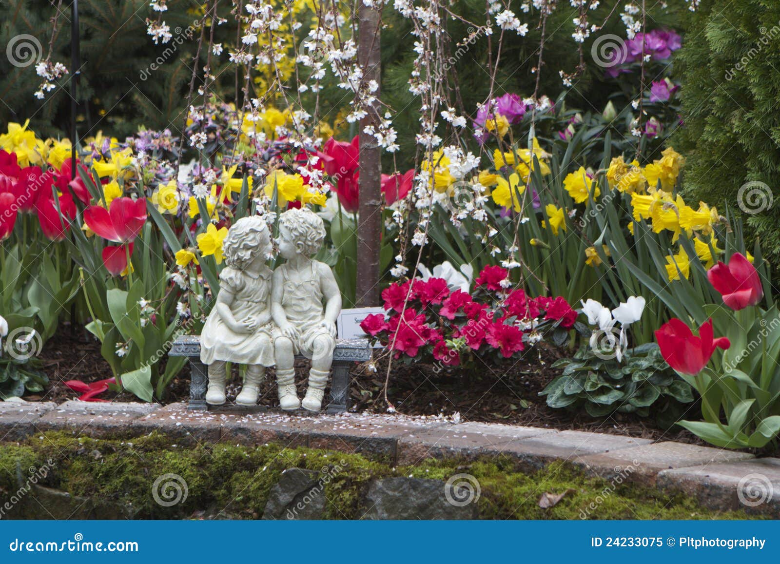 A Kiss in the Garden stock image. Image of tulips, perennial - 24233075