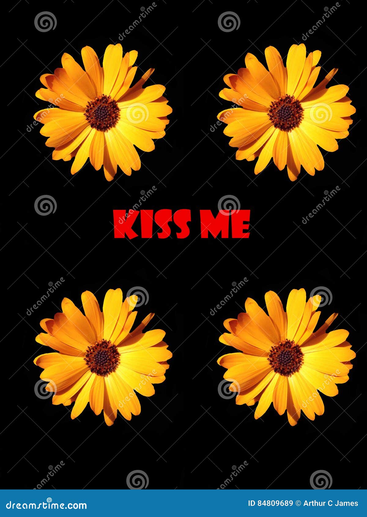 Kiss Me stock illustration. Illustration of flower, black 84809689