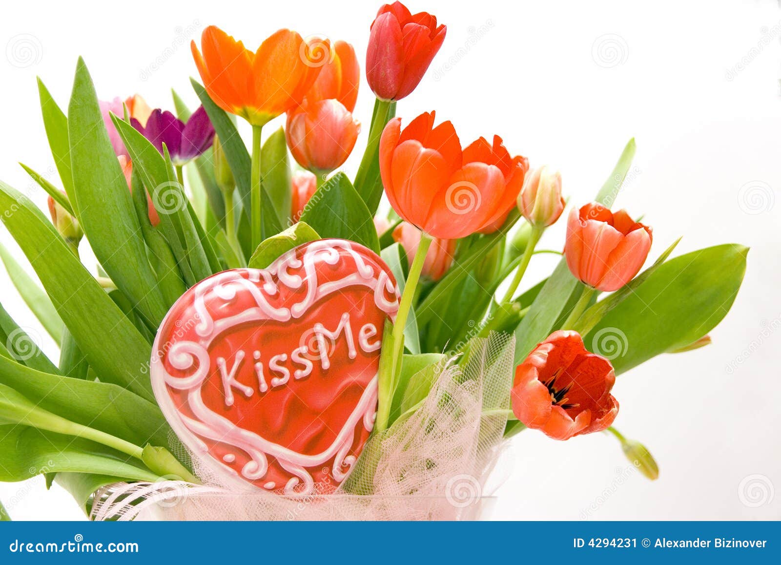 Kiss me tulips stock image. Image of beautiful, softness 4294231