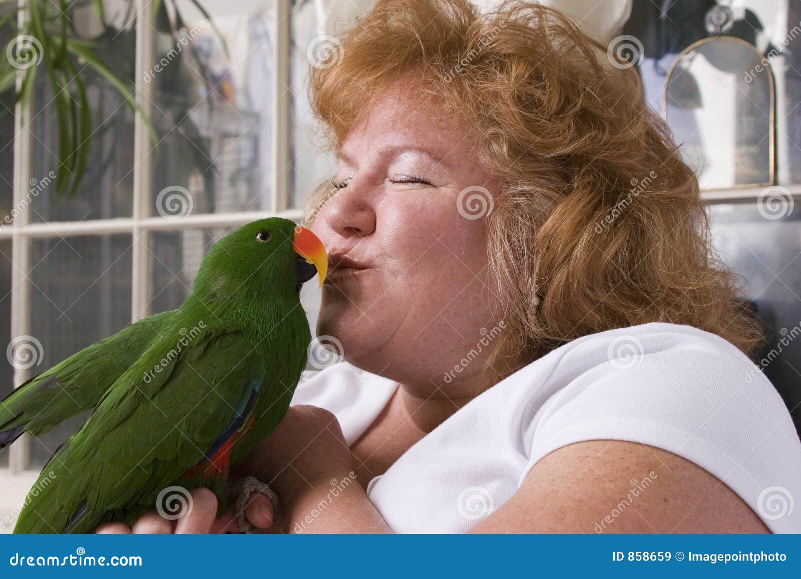 1 419 Kissing Bird Photos Free Royalty Free Stock Photos From Dreamstime 1 419 Kissing Bird Photos Free Royalty Free Stock Photos From Dreamstime