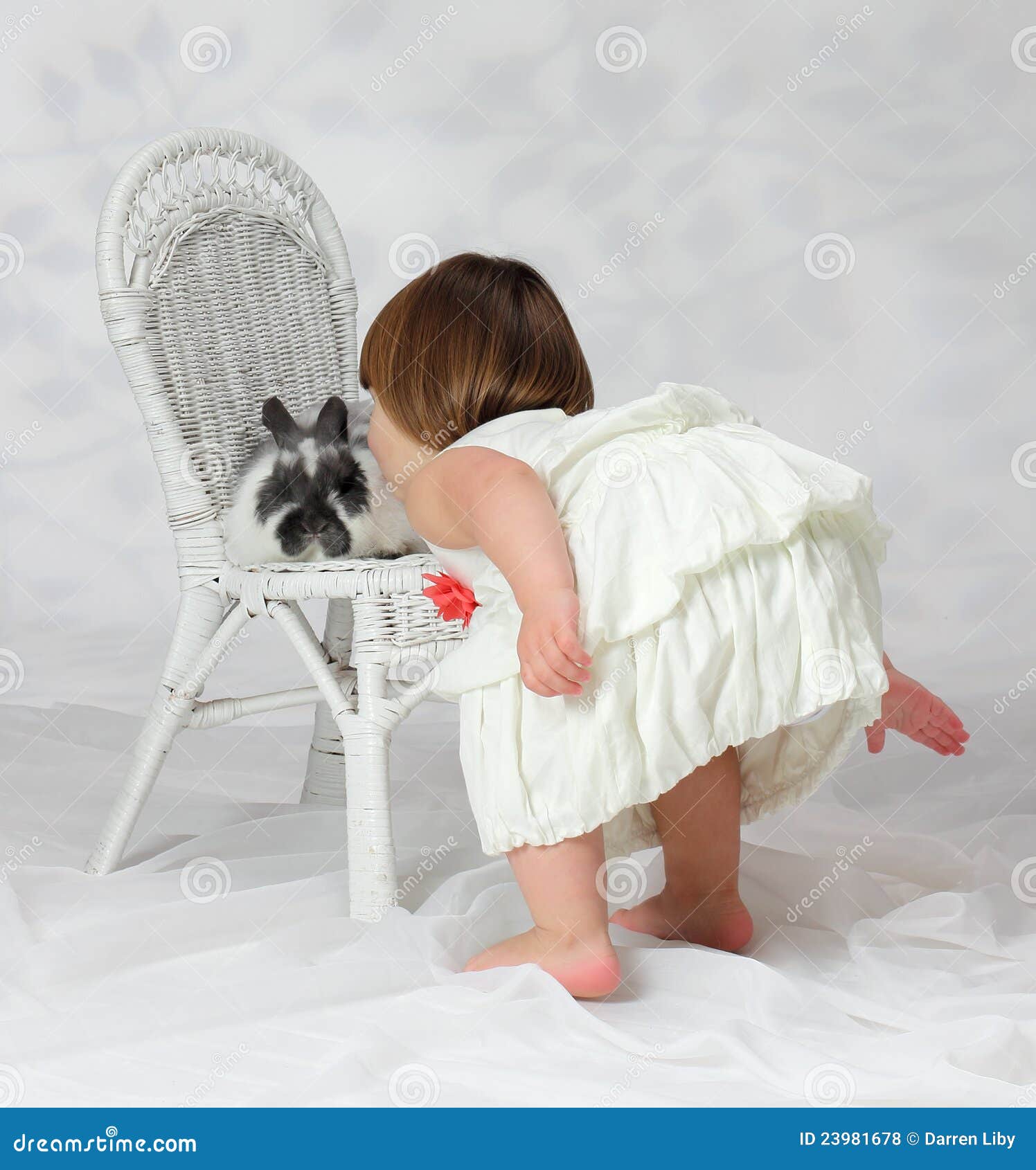 Download Kissing a Bunny Rabbit stock photo. Image of young, hare ...