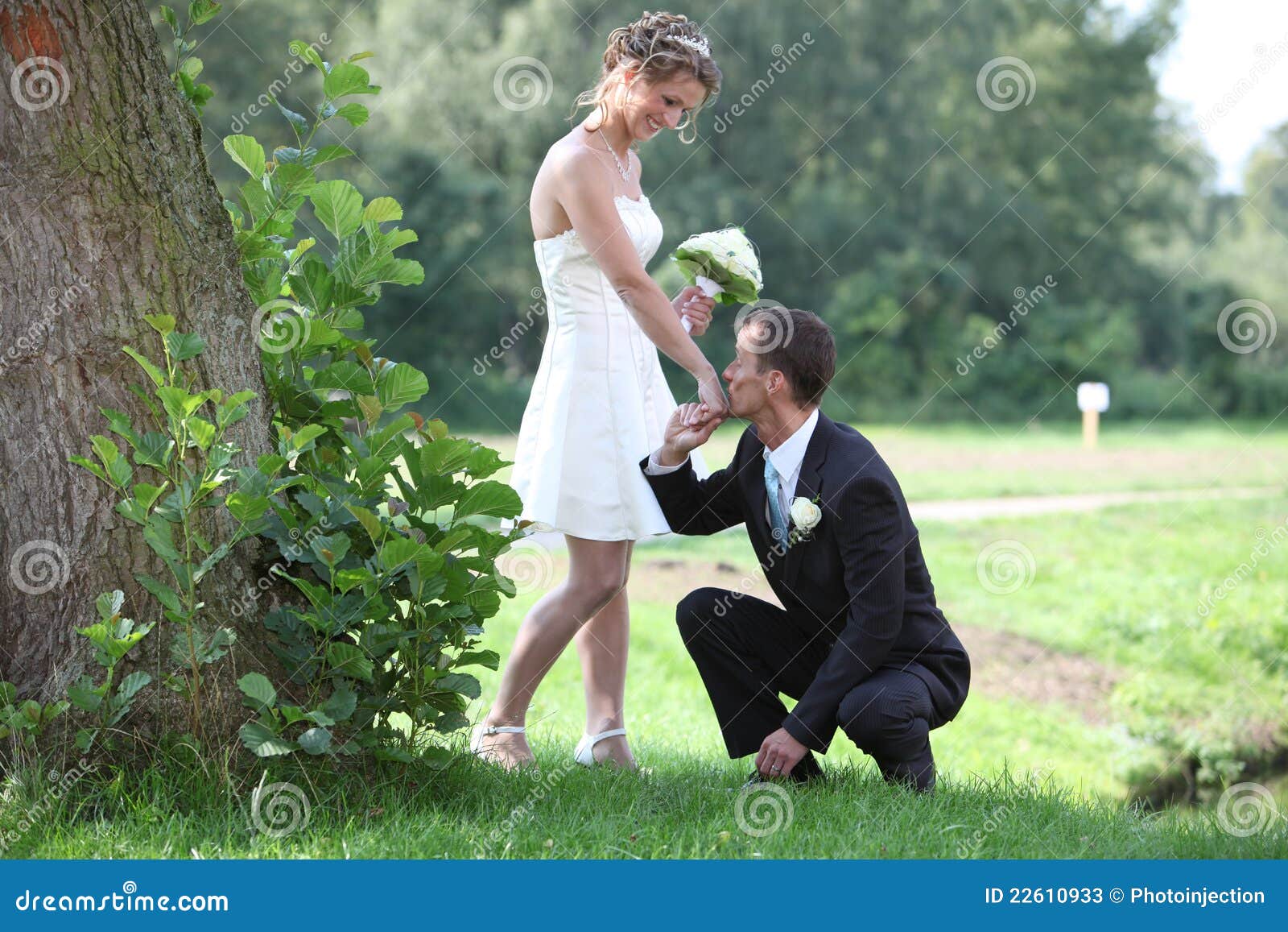 Kissing hand stock image. Image of kiss, groom, married 22610933