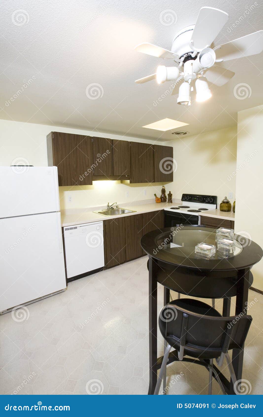 kitchen in condominium