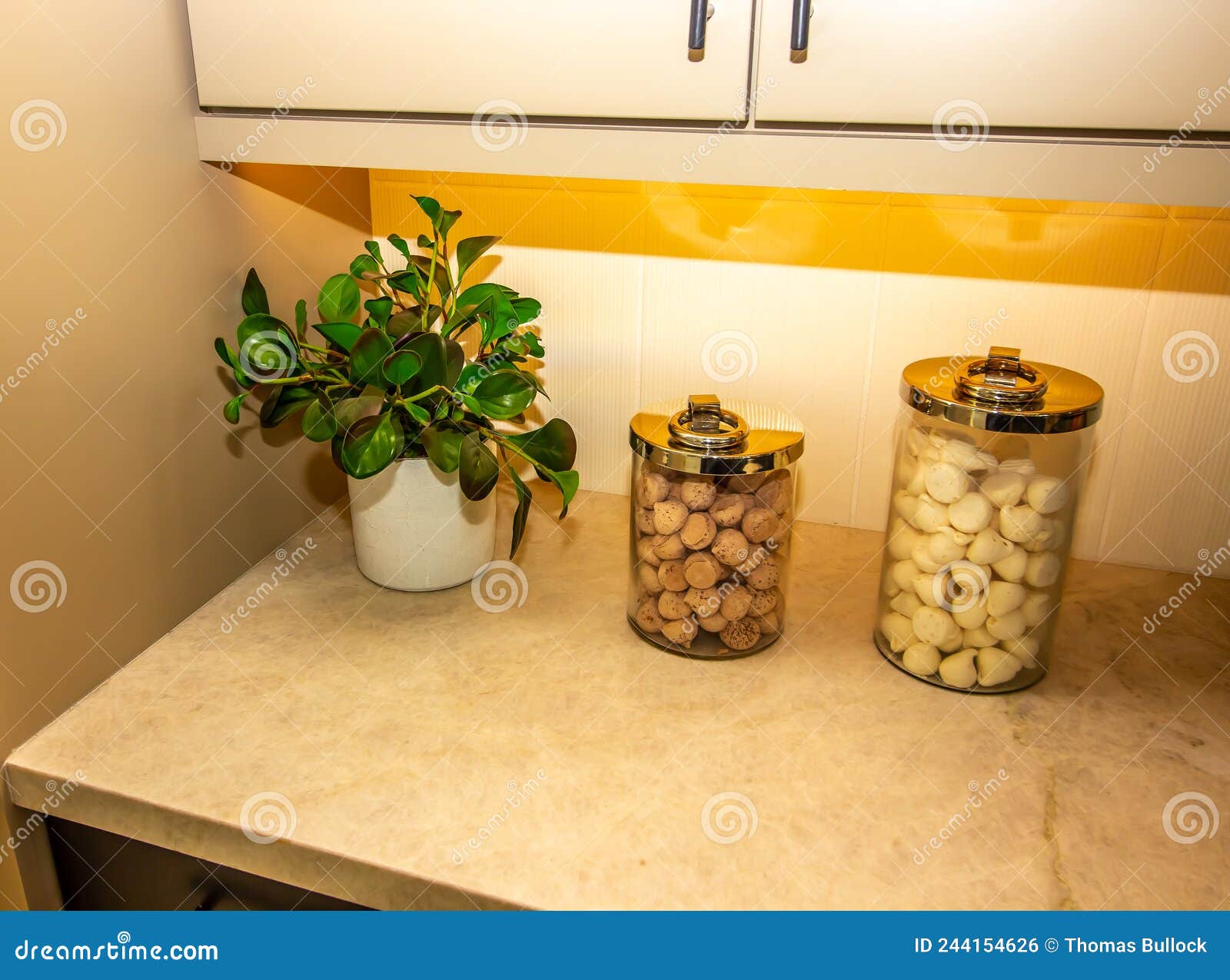 Kitchen Counter with Plant and Two Glass Containers Stock Photo Image of corner, counter