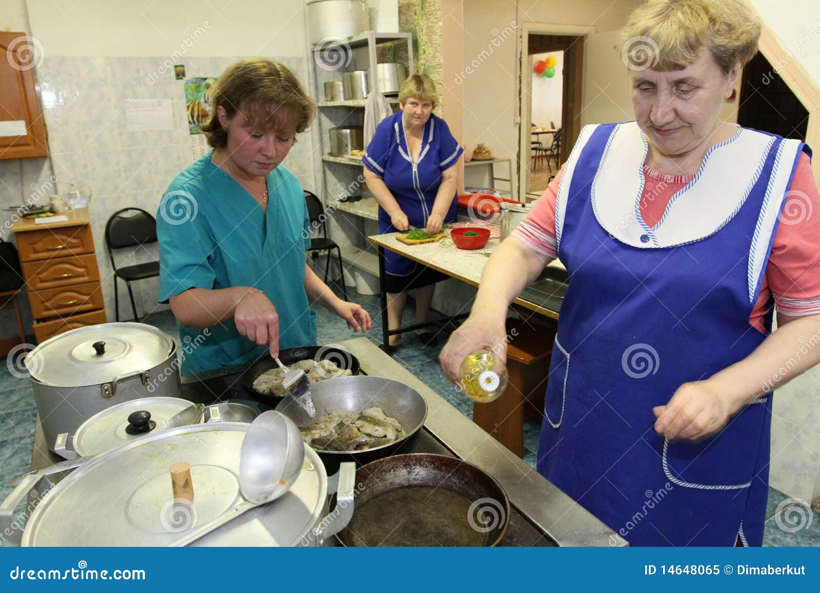 Kitchen for the elderly editorial image. Image of female 14648065